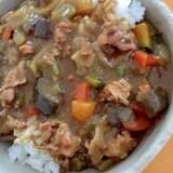 圧力なべで！夏野菜ドライカレー★